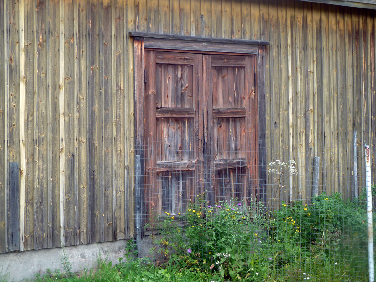 P1310850.jpg