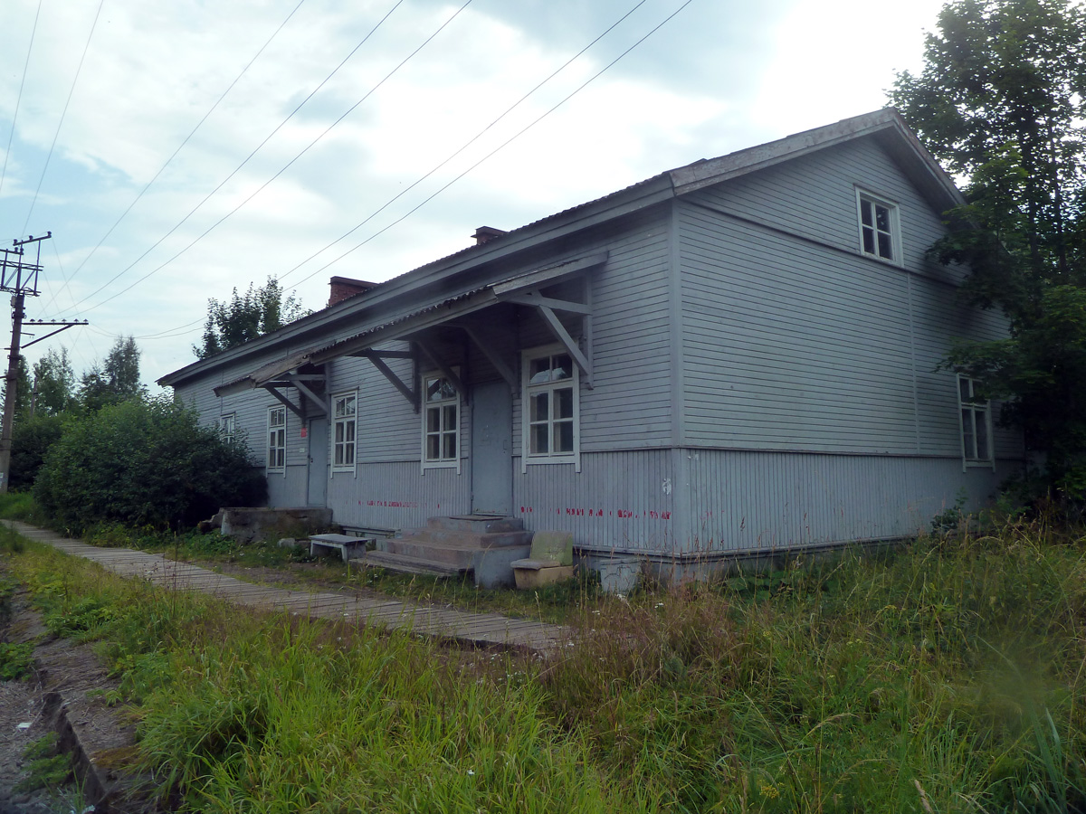P1310851.jpg