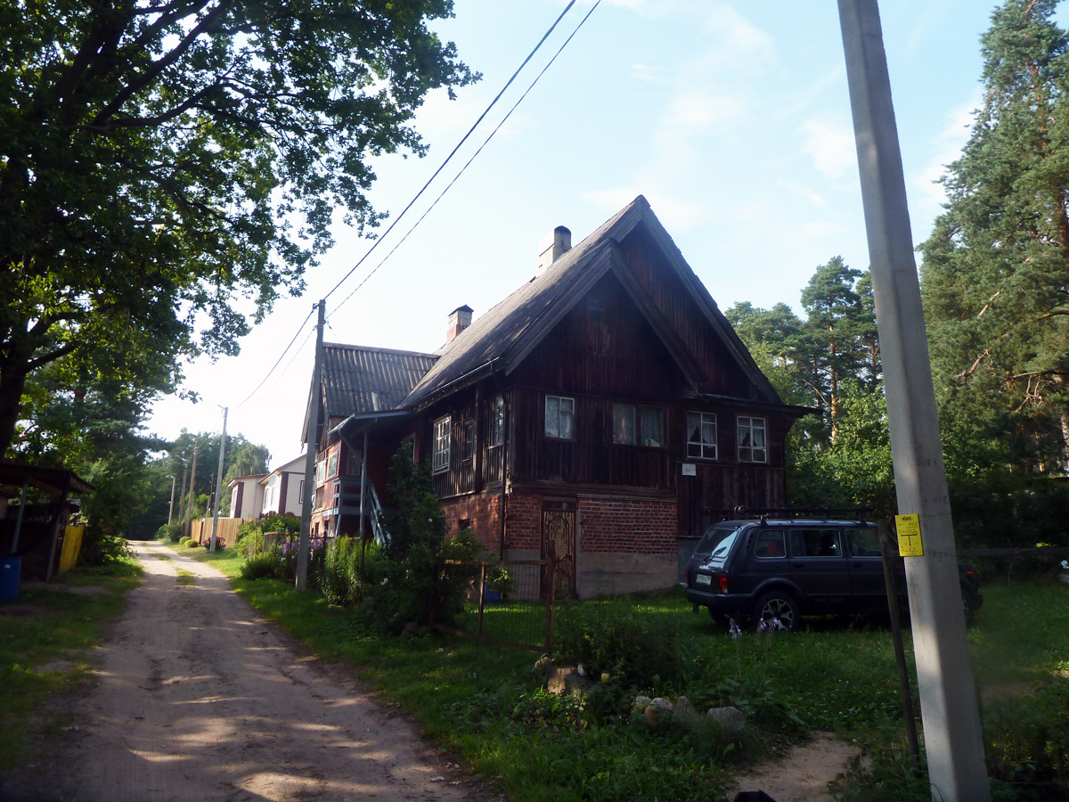 P1310869.jpg