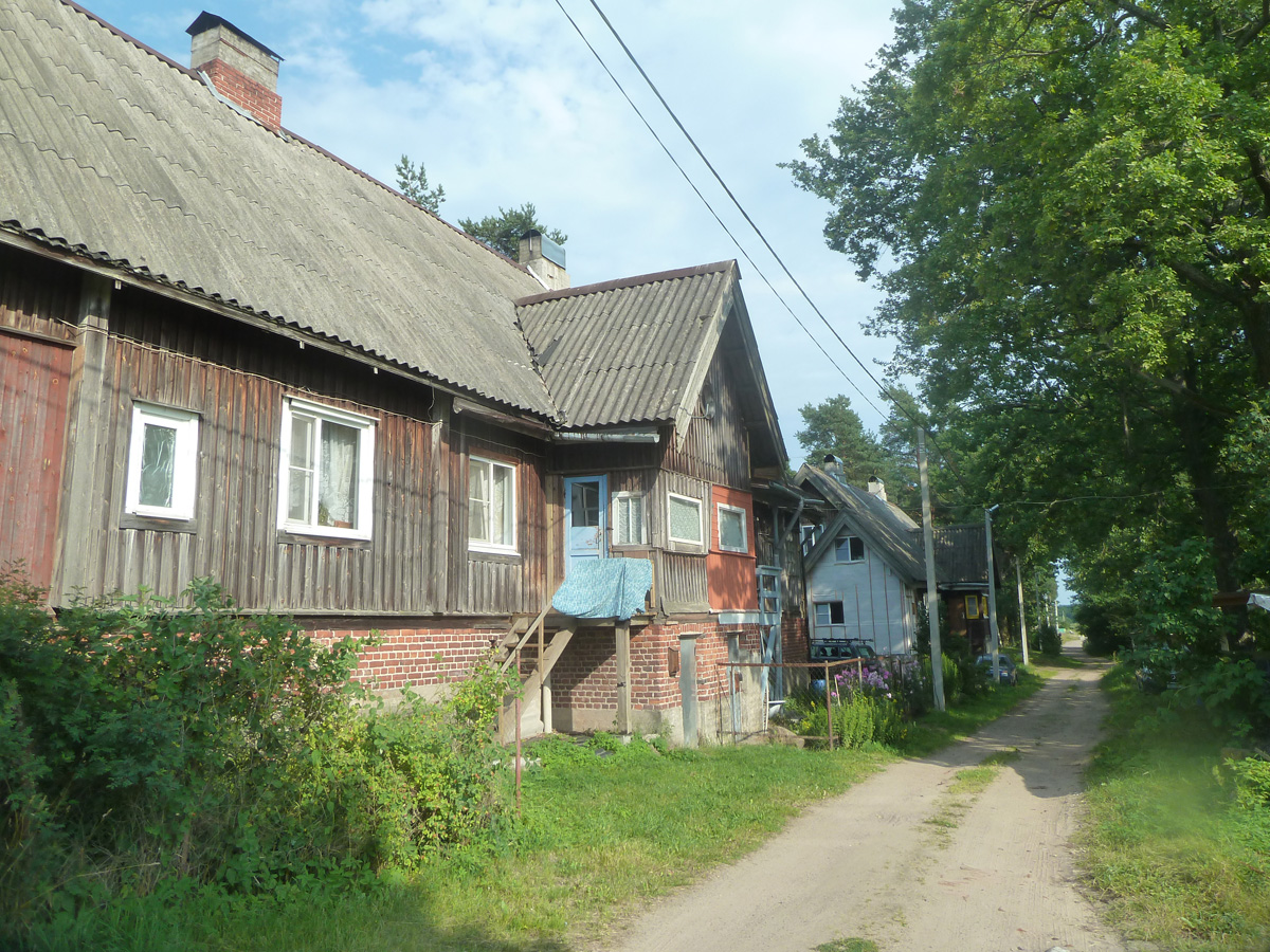 P1310870.jpg