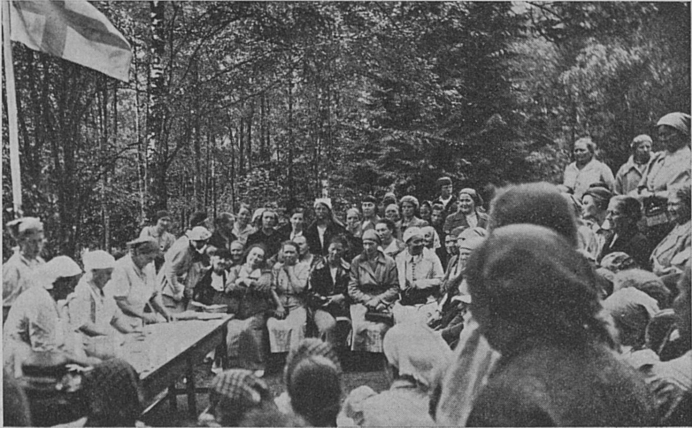 tyriseva-kaunisranta-2.jpg