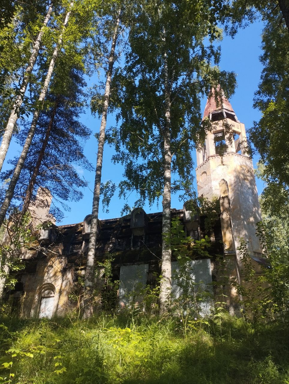 Ромашки