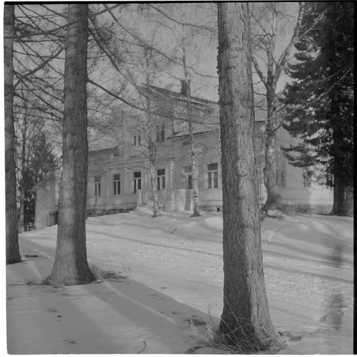 pukinniemi-2.jpg