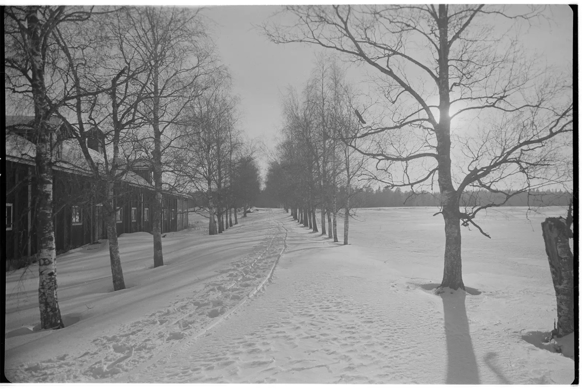 pukinniemi-4.jpg