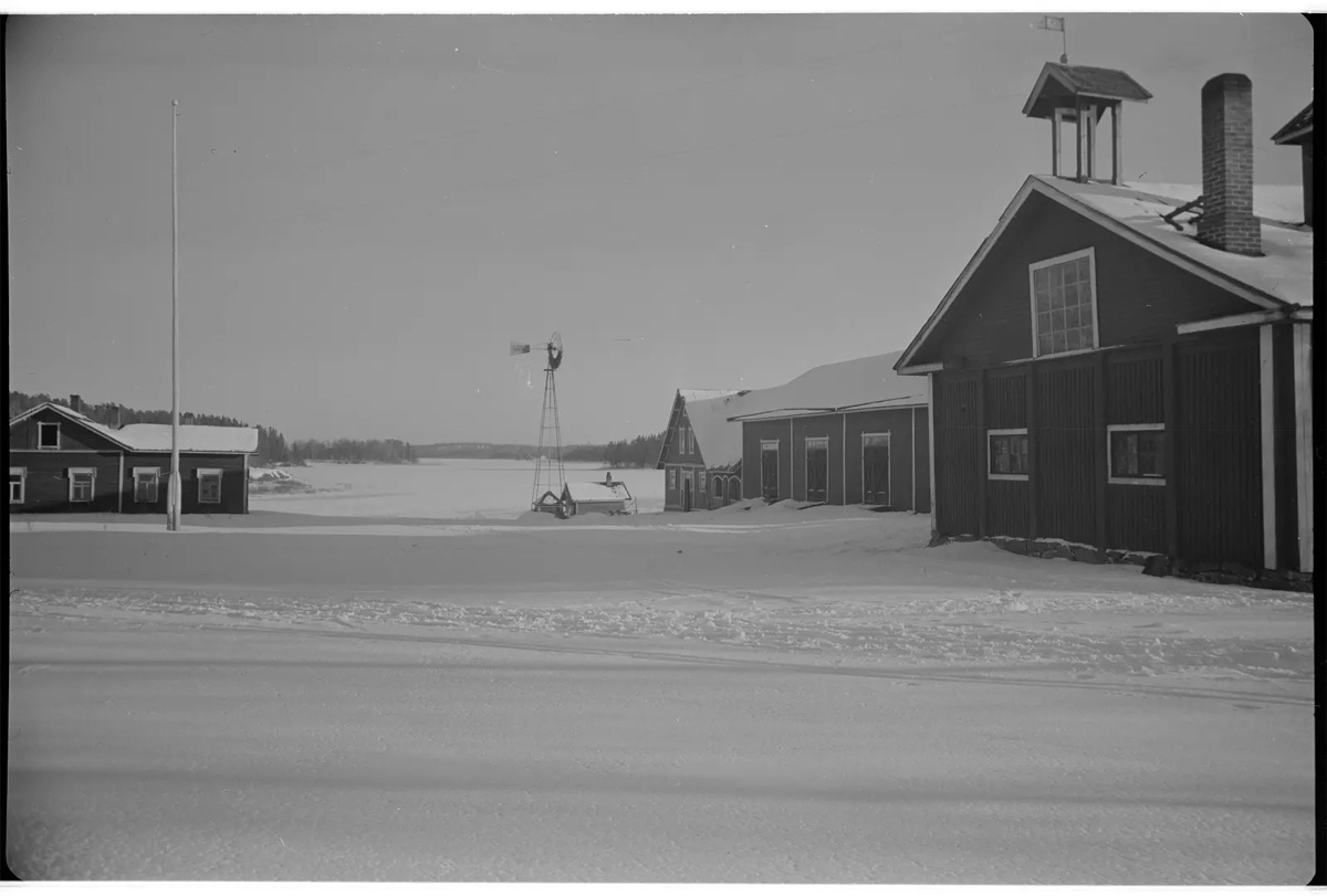pukinniemi-5.jpg