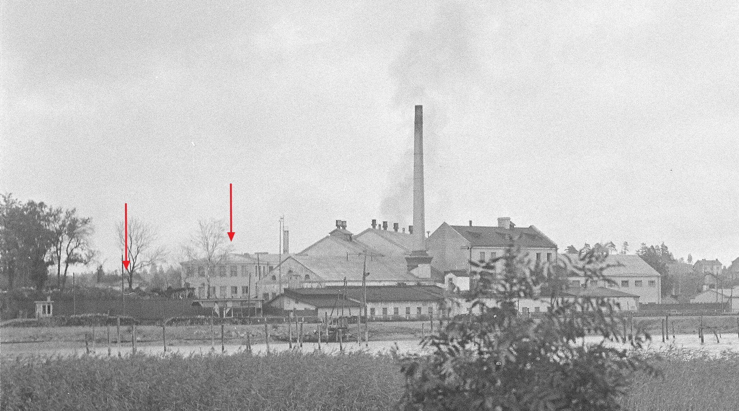 40611.jpg