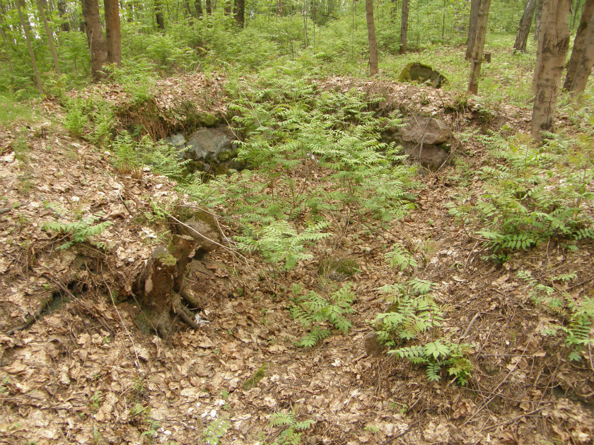 Пр.ш.602 4 P5241675 погреб уч.№39.jpg