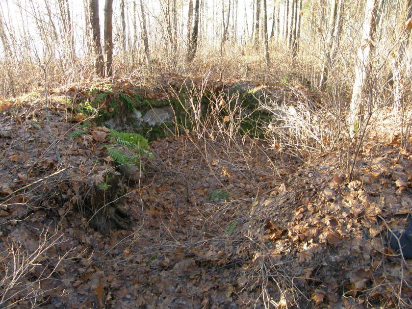 Пр.ш.602 3 PB151225  погреб уч.№39.jpg