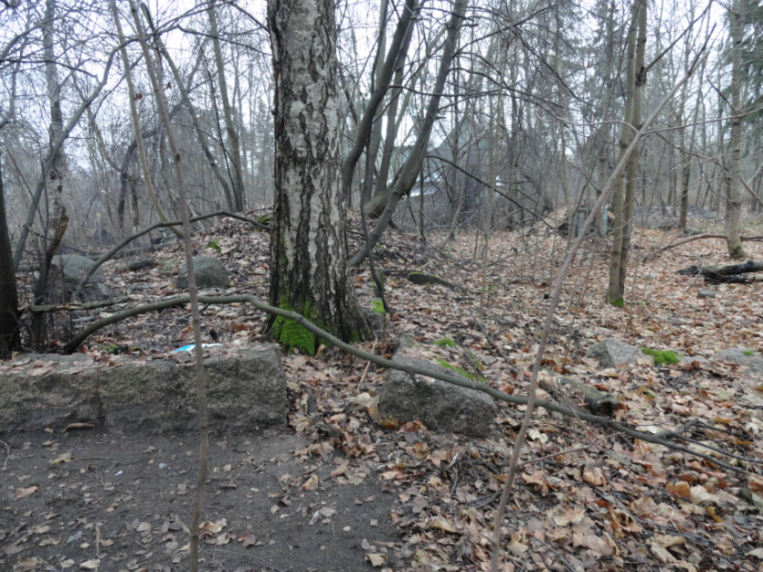 уч.№104=№5 в треуг.=фундамент дома =спр.погреб 1 , вдали-№6 =DSC00990.jpg