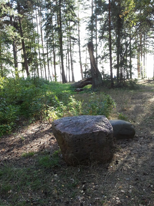 202 - копия.jpg