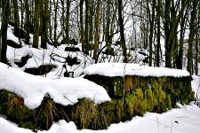 Кондратьево - Саккиярви