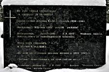 Каменногорск - Антреа