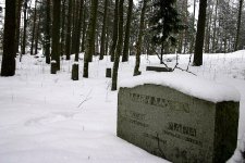 Каменногорск - Антреа