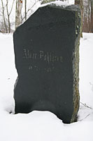 Лесогорский - Яаски