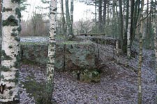 Красная Долина - Куолемаярви