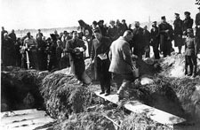 Правдино - Муолаа