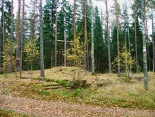 Яшино - Вахвиала