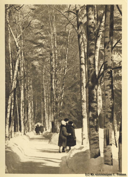 15. Березовая аллея, ведущая от главного входа в "Пенаты" к могиле И.Е. Репина. 1962-й год. - 15. Березовая аллея, ведущая от главного входа в "Пенаты" к могиле И.Е. Репина. 1962-й год.
(с) Из коллекции С. Ренни Penaty_1962-15.jpg