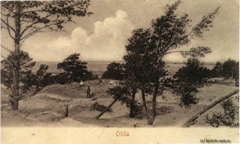 Оллила. Песчаные дюны на берегу. 1900-е годы. (2) - Оллила. Песчаные дюны на берегу. 1900-е годы.
(c) Из фотоальбома "На поезде от Санкт-Петербурга до Кивенаппа". ollila_jpk-43.jpg