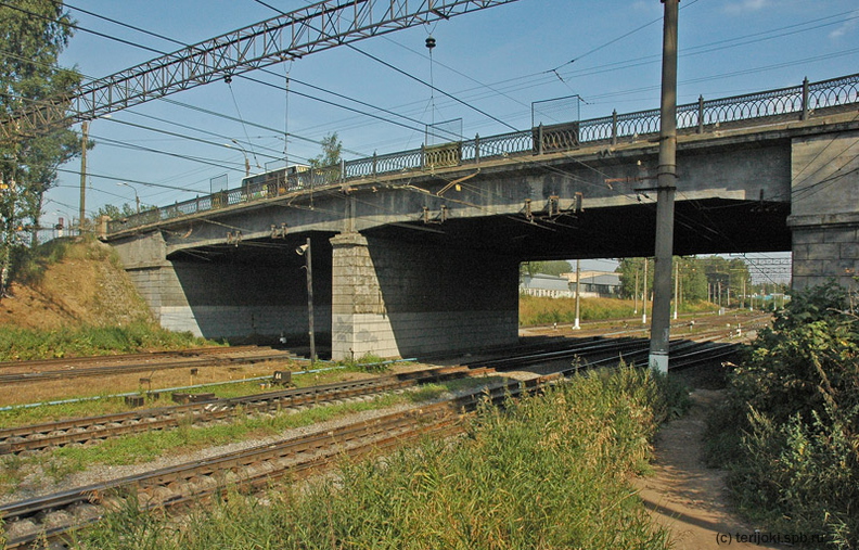 Пискаревка санкт петербург территория станция пискаревка фото