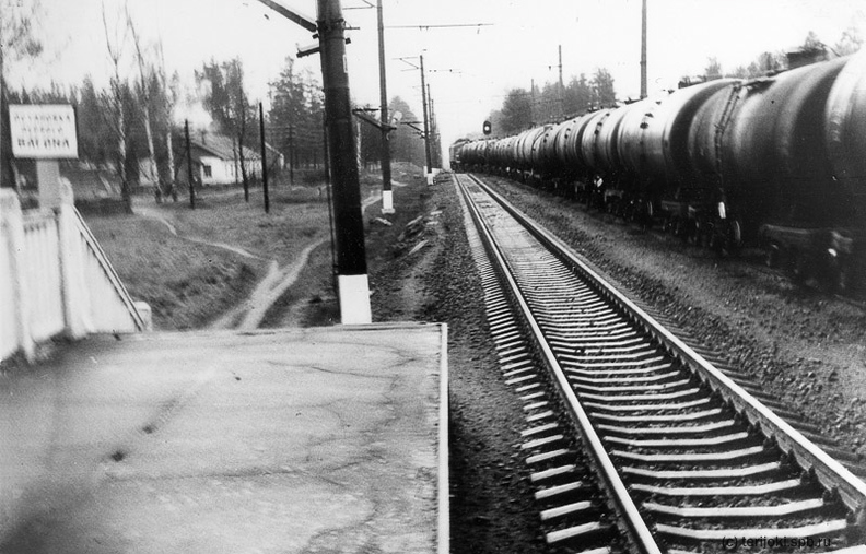 Заходское, октябрь 1982 г. - Заходское, октябрь 1982 г.
Фото: Д. Верёвкин, октябрь 1982 г. Zahodskoe1982-1.jpg