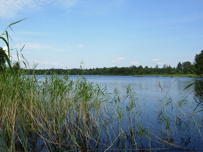 Озеро Pien-Salojarvi - Озеро Pien-Salojarvi Karisalmi-23.jpg