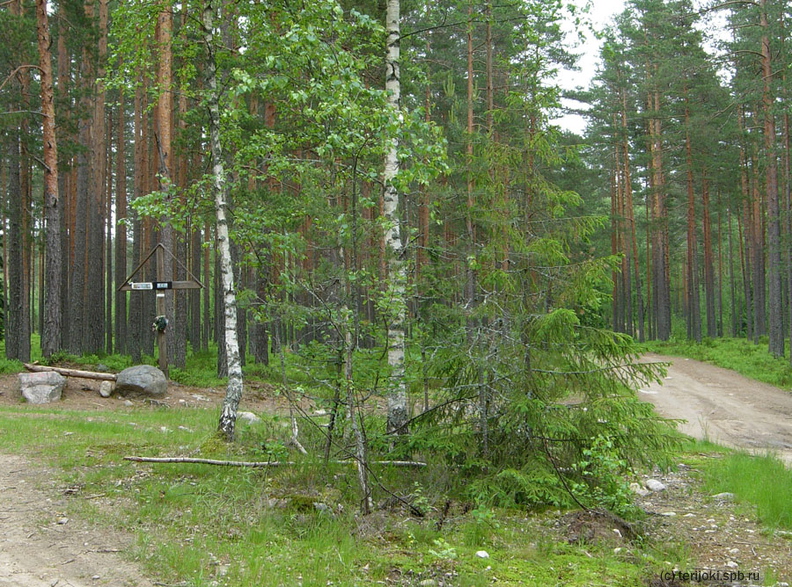 Поклонный крест на развилке дорог - Поклонный крест на развилке дорог dv_Tarasovskoe-Poliany-08.jpg