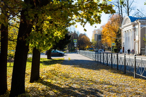 Городская жизнь