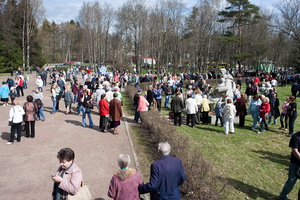 _MG_6690.jpg