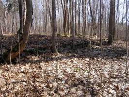 pk_Jaameri_2013-04