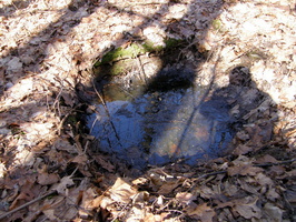 pk_Jaameri_2013-06