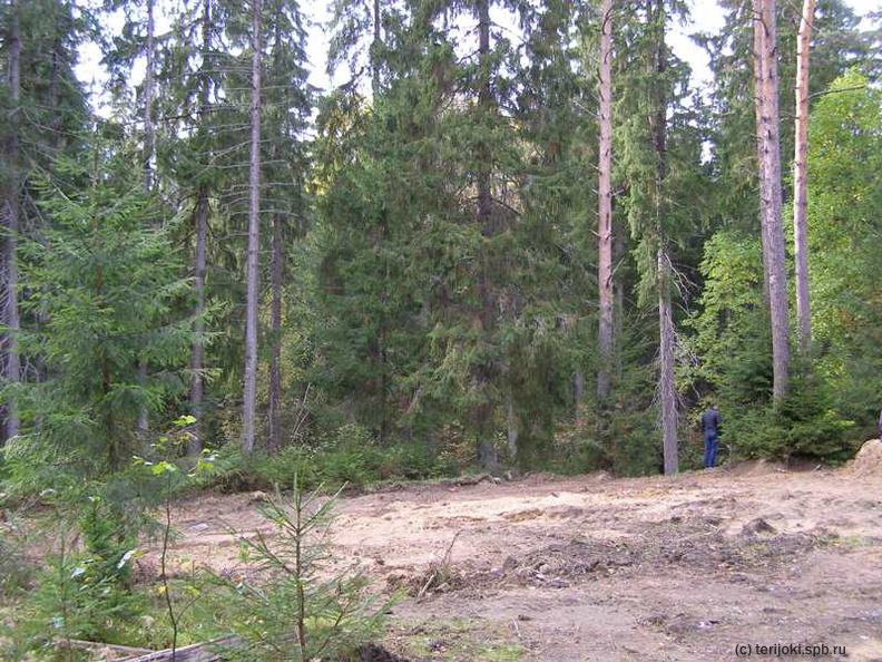 Сентябрь 2012 г. На этом месте стоял дом - Сентябрь 2012 г. На этом месте стоял дом nr_2012-1.jpg