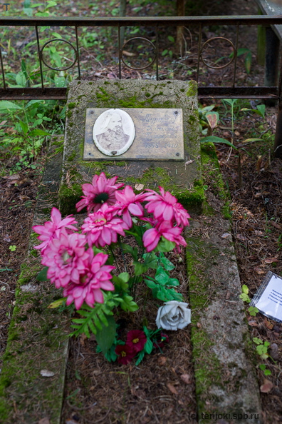 Муравьев Василий Петрович 1858 - 1910 _BR_6090.jpg