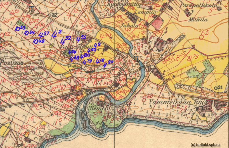 Фрагмент финской топографической карты 1930-х гг. с отмеченными кадастровыми участками, синим цветом отмечены участки Е. Э. Картавцова map_Marioki-01c.jpg