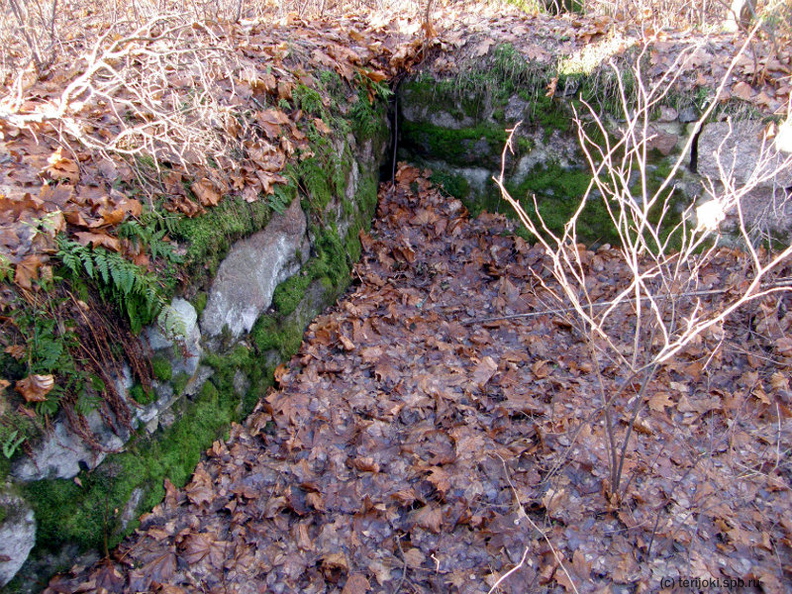 Приморское шоссе, 602. Погреб на участке №39 (по Кяхёнен). 2012 г.
Фото: П. Корвенкюля pk_Lohbeck_2012-04.jpg