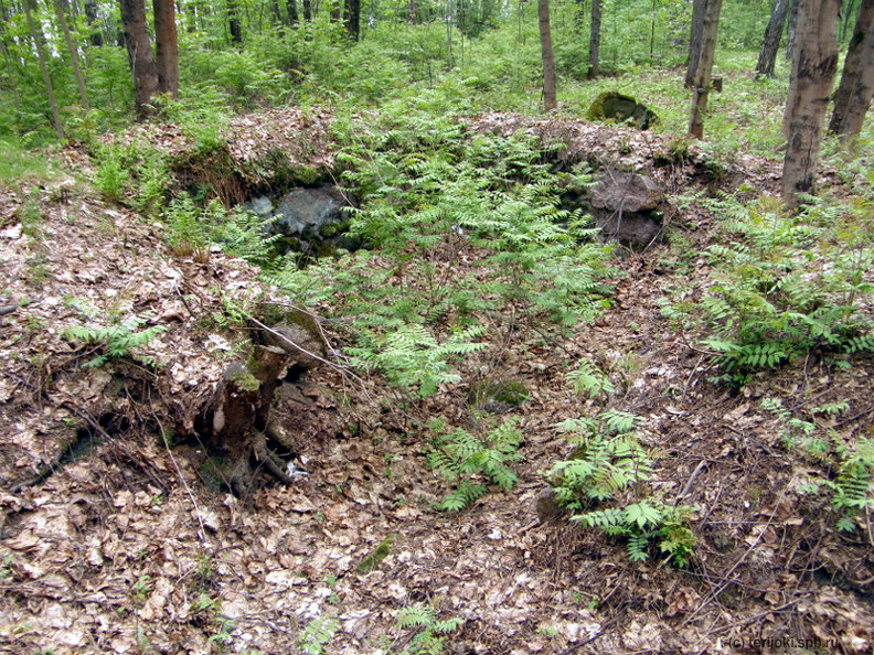 Приморское шоссе, 602. Погреб на участке №39 (по Кяхёнен). 2012 г.
Фото: П. Корвенкюля pk_Lohbeck_2012-06.jpg