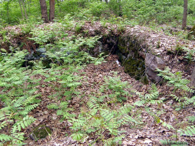 Приморское шоссе, 602. Погреб на участке №39 (по Кяхёнен). 2012 г.
Фото: П. Корвенкюля pk_Lohbeck_2012-07.jpg