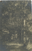 aist Kuokkala-40a