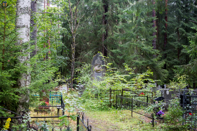 BR 8367 - _BR_8367.jpg _BR_8367.jpg