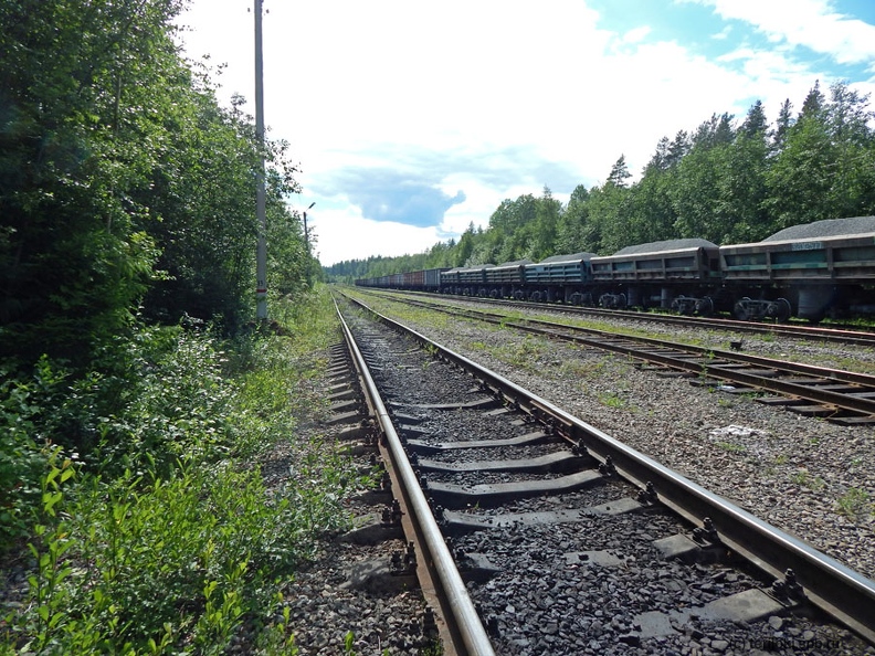 Вид из центральной части станции Боровинка в сторону Каменногорска. Фото: Шефер В.Д., 12.07.2018 г. VDSh_Borovinka_2018-10.JPG
