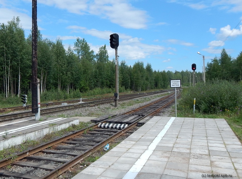 Станция Боровинка. Вид с пассажирской платформы в сторону станции Красный Сокол. Фото: Шефер В.Д., 12.07.2018 г. VDSh_Borovinka_2018-13.JPG