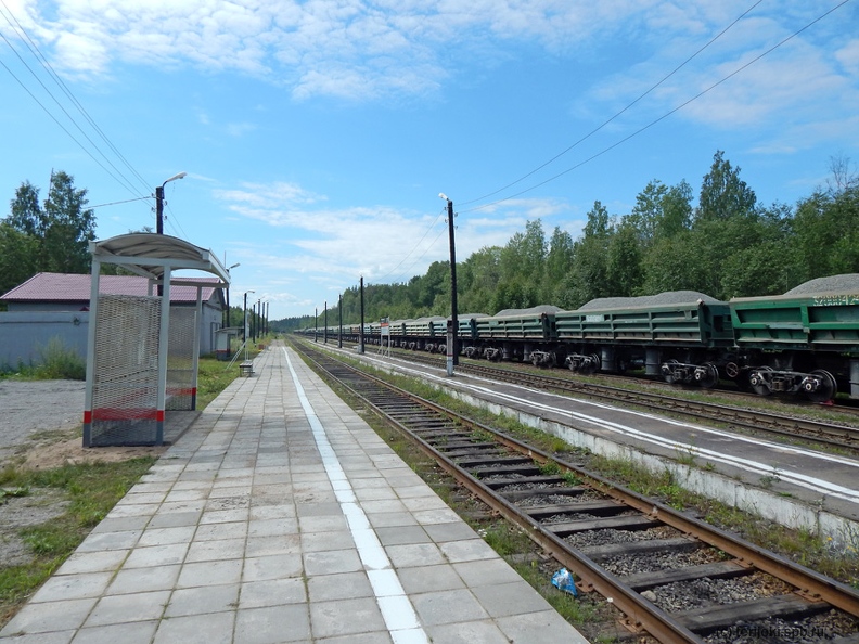 Вид с пассажирской платформы станции Боровинка в сторону Каменногорска. Фото: Шефер В.Д., 12.07.2018 г. VDSh_Borovinka_2018-14.JPG