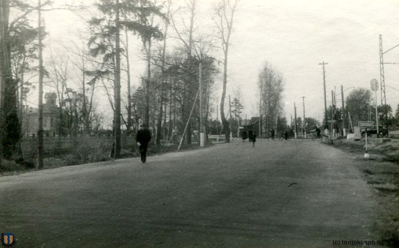 Тарховка Сестрорецк