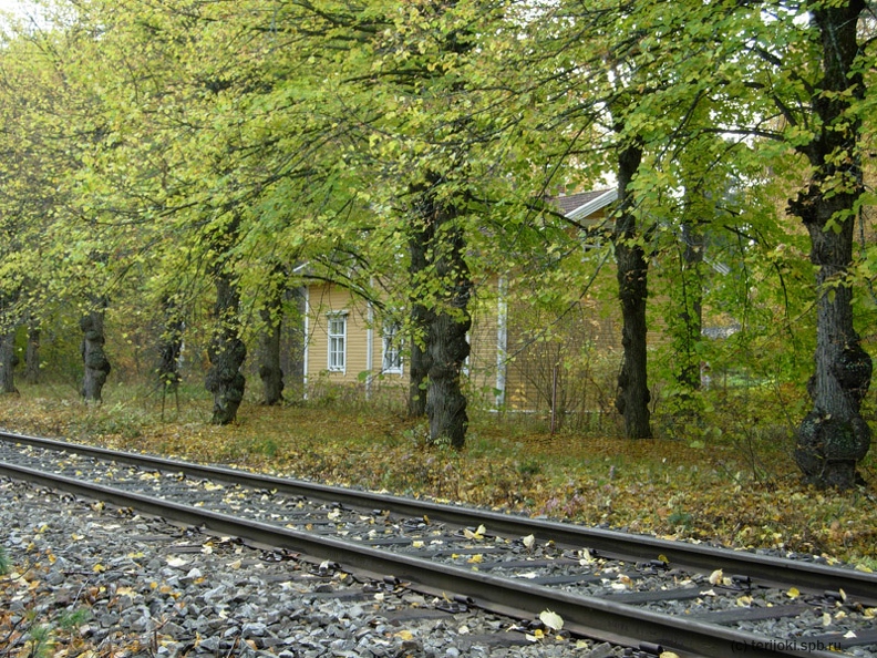 Остановочный пункт Лусто. Жилой дом у вокзала.
(с) Фотография Д. Веревкина, октябрь 2008 г. Lusto_Zhiloy_dom.jpg