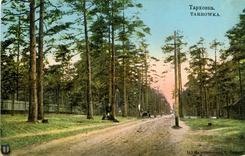 Тарховка Сестрорецк