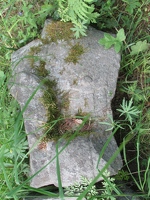 IMG-0433