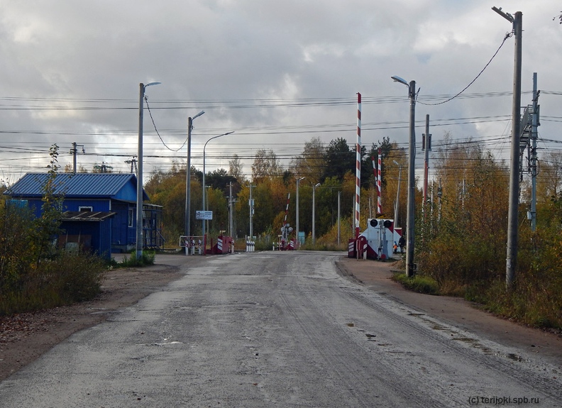 Остановочный пункт Лазаревка. Переезд 125 км, вид в южном направлении. Фото: Шефер В.Д., 10.10.2020 г. VDSh_Lazarevka_2020-01.jpg