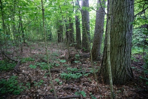 DSC03669