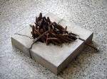 zart2002-27.jpg