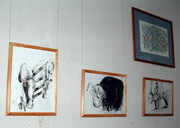 excib041030-23.jpg